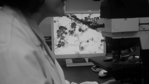 Narges Aghaallaei – Molekularbiologin, Arbeit